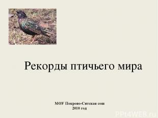 Рекорды птичьего мира МОУ Покрово-Ситская сош 2010 год