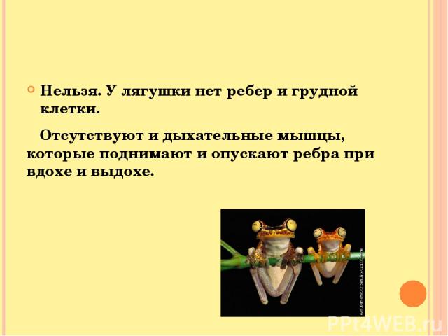 Нельзя. У лягушки нет ребер и грудной клетки. Отсутствуют и дыхательные мышцы, которые поднимают и опускают ребра при вдохе и выдохе.