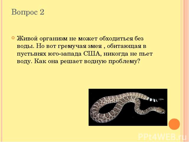 Вопрос 2 Живой организм не может обходиться без воды. Но вот гремучая змея , обитающая в пустынях юго-запада США, никогда не пьет воду. Как она решает водную проблему?