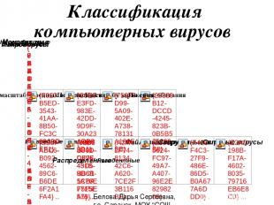 Классификация компьютерных вирусов   Белова Дарья Сергеевна, г.о. Саранск, МОУ "