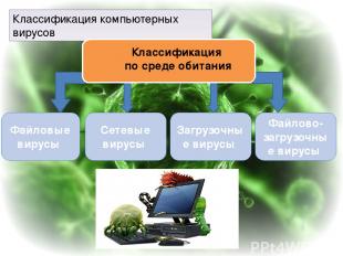 Классификация компьютерных вирусов Загрузочные вирусы Сетевые вирусы Файловые ви