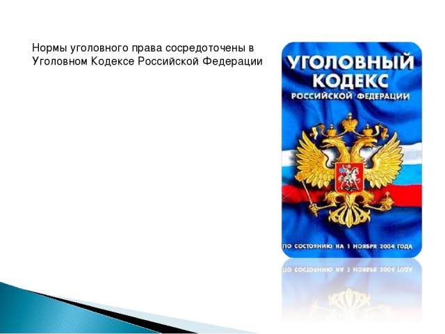Нормы уголовного права сосредоточены в Уголовном Кодексе Российской Федерации