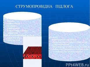 Види струмопровідної підлоги: Земляна Асфальтована Цементна Залізобетонна Із мет