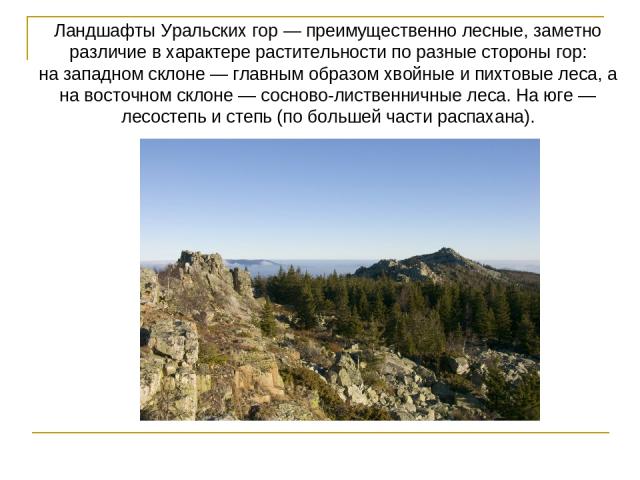 Ландшафты Уральских гор — преимущественно лесные, заметно различие в характере растительности по разные стороны гор: на западном склоне — главным образом хвойные и пихтовые леса, а на восточном склоне — сосново-лиственничные леса. На юге — лесостепь…