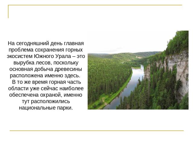 На сегодняшний день главная проблема сохранения горных экосистем Южного Урала – это вырубка лесов, поскольку основная добыча древесины расположена именно здесь. В то же время горная часть области уже сейчас наиболее обеспечена охраной, именно тут ра…