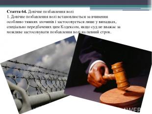 Стаття 64. Довічне позбавлення волі 1. Довічне позбавлення волі встановлюється з