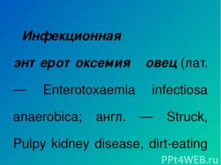Инфекционная энтеротоксемия овец (лат. — Enterotoxaemia infectiosa anaerobica; а