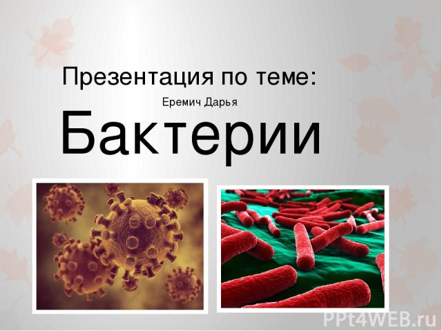 Бактерии Презентация по теме: Еремич Дарья
