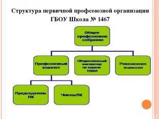 Структура первичной профсоюзной организации ГБОУ Школа № 1467