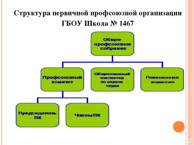 Структура первичной профсоюзной организации ГБОУ Школа № 1467