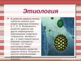 Этиология В развитии цирроза печени наиболее важную роль играют вирусные гепатит
