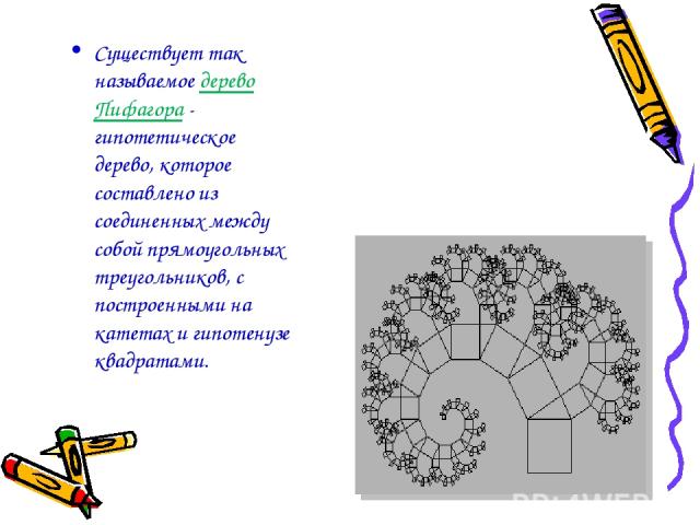 Существует так называемое дерево Пифагора - гипотетическое дерево, которое составлено из соединенных между собой прямоугольных треугольников, с построенными на катетах и гипотенузе квадратами.