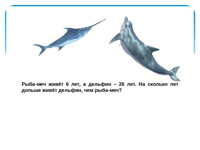 Рыба-меч живёт 6 лет, а дельфин – 26 лет. На сколько лет дольше живёт дельфин, чем рыба-меч?
