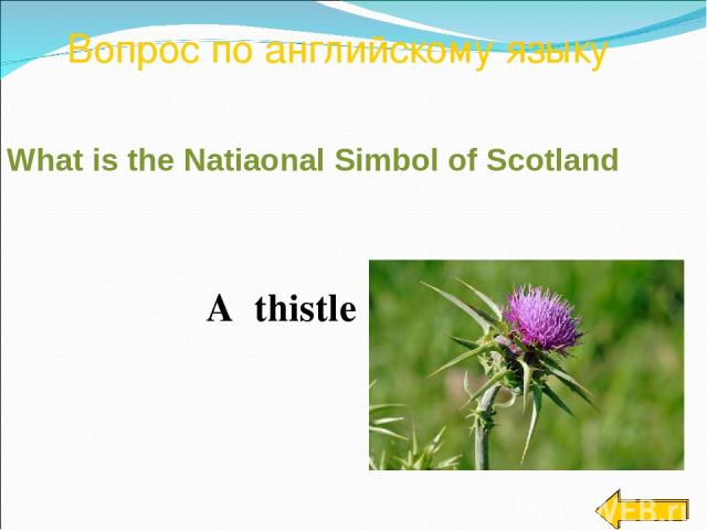 Вопрос по английскому языку A thistle What is the Natiaonal Simbol of Scotland