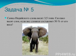 Задача № 5 Самка Индийского слона весит 3,5 тонн. Сколько весит слон, если вес с