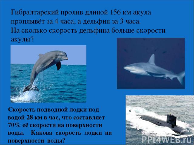 Скорость дельфина в воде