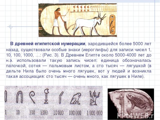 В древней египетской нумерации, зародившейся более 5000 лет назад, существовали особые знаки (иероглифы) для записи чисел 1, 10, 100, 1000, …: (Рис. 3). В Древнем Египте около 5000-4000 лет до н.э. использовали такую запись чисел: единица обозначала…