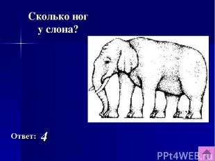 Ответ: 4 Сколько ног у слона?
