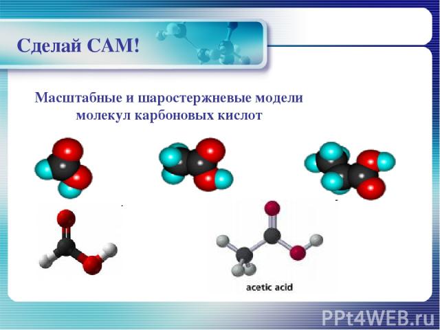 Масштабные и шаростержневые модели молекул карбоновых кислот Сделай САМ!