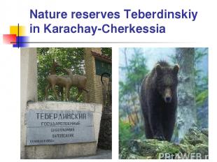 Nature reserves Teberdinskiy in Karachay-Cherkessia