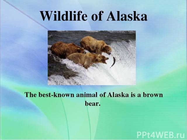 Wildlife of Alaska The best-known animal of Alaska is a brown bear.
