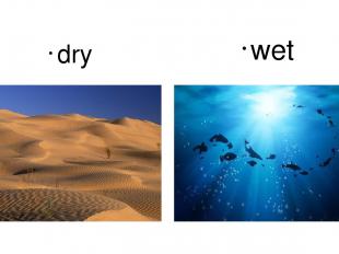 dry wet