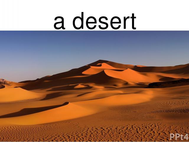 a desert