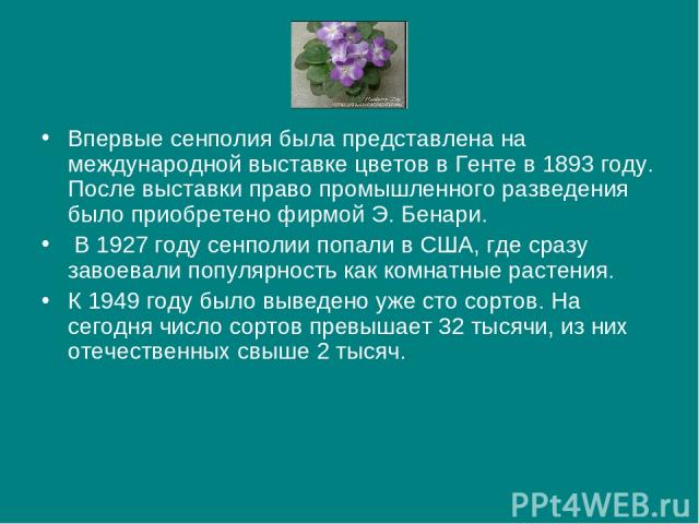 Впервые сенполия была представлена на международной выставке цветов в Генте в 1893 году. После выставки право промышленного разведения было приобретено фирмой Э. Бенари. В 1927 году сенполии попали в США, где сразу завоевали популярность как комнатн…