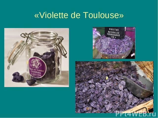 «Violette de Toulouse»