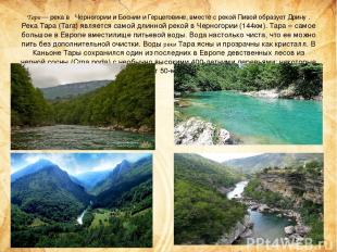 Тара — река в Черногории и Боснии и Герцеговине, вместе с рекой Пивой образует Д