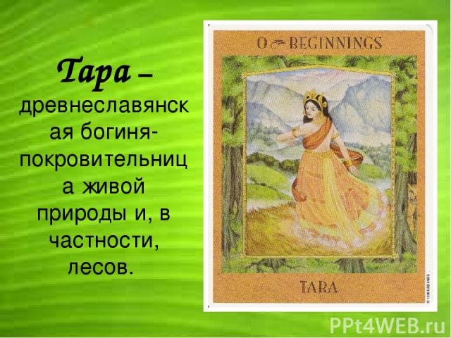 Тара – древнеславянская богиня-покровительница живой природы и, в частности, лесов.