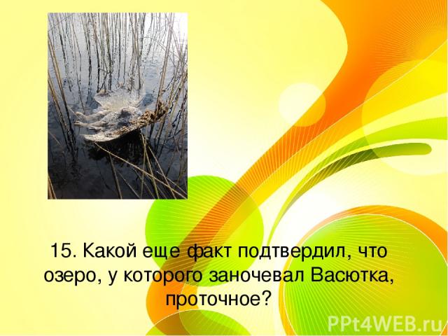 15. Какой еще факт подтвердил, что озеро, у которого заночевал Васютка, проточное?