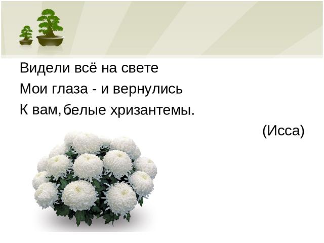 Видели всё на свете Мои глаза - и вернулись К вам, … (Исса) белые хризантемы.