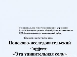 Муниципальное общеобразовательное учреждение Русско-Высоцкая средняя общеобразов