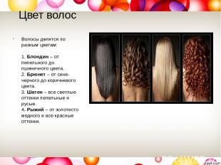 Цвет волос Волосы делятся по разным цветам:  1. Блондин – от пепельного до пшени