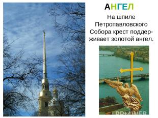 На шпиле Петропавловского Собора крест поддер-живает золотой ангел. АНГЕЛ