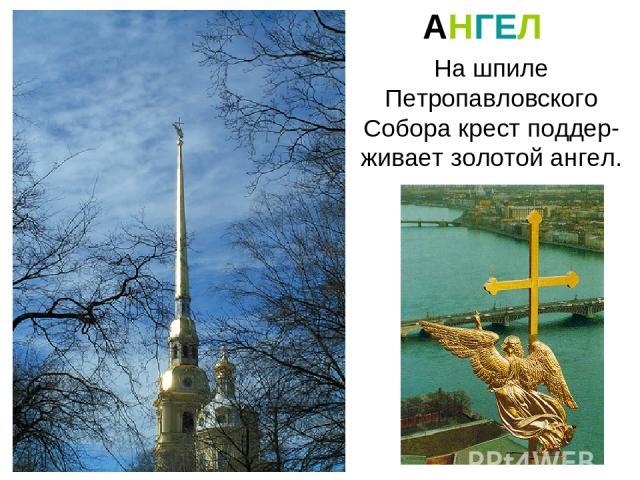 На шпиле Петропавловского Собора крест поддер-живает золотой ангел. АНГЕЛ