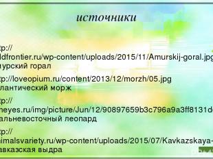 источники http://wildfrontier.ru/wp-content/uploads/2015/11/Amurskij-goral.jpg а