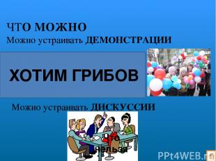 «Либерально – демократическая партия России» Владимир Жириновский