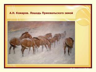 А.Н. Комаров. Лошадь Пржевальского зимой
