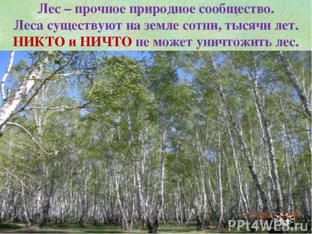 Лес – прочное природное сообщество. Леса существуют на земле сотни, тысячи лет. НИКТО и НИЧТО не может уничтожить лес.