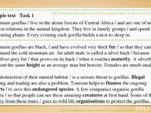 Mountain gorillas / live in the dense forests of Central Africa / and are one of