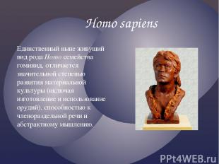 Homo sapiens Единственный ныне живущий вид рода Homo семейства гоминид, отличает