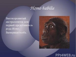 Homo habilis Высокоразвитый австралопитек или первый представитель рода Homo. Вы