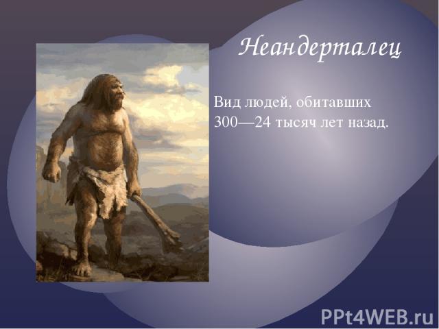 Неандерталец Вид людей, обитавших 300—24 тысяч лет назад.