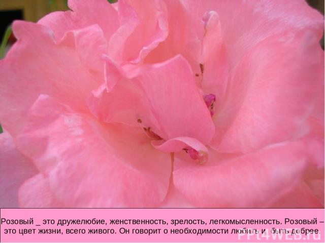 Розовый _ это дружелюбие, женственность, зрелость, легкомысленность. Розовый – это цвет жизни, всего живого. Он говорит о необходимости любить и быть добрее.
