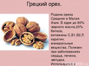 Грецкий орех. Родина ореха Средняя и Малая Азия. В ядре до 80% жирного масла,20%