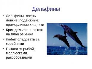 Дельфины Дельфины- очень ловкие, подвижные, прожорливые хищники Крик дельфина по
