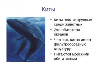 Киты Киты- самые крупные среди животных Это обитатели океанов Челюсть китов имее
