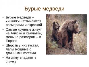 Бурые медведи Бурые медведи –хищники. Отличаются размерами и окраской Самые круп